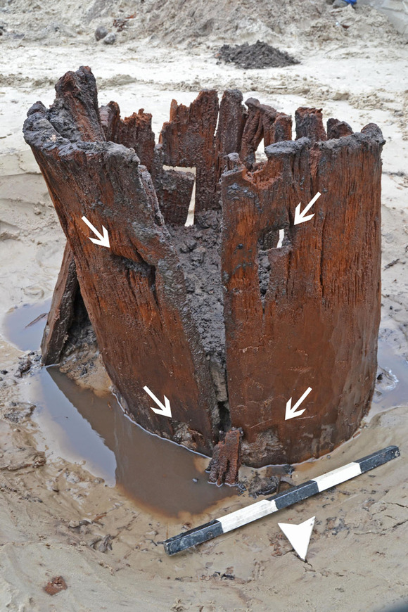 Abb. 5: Ferdinandshof, Lkr. Vorpommern-Greifswald. Im Inneren des rechteckigen Kastens verbarg sich diese Brunnenröhre aus drei Segmenten eines ausgehöhlten Baumstamms. Die ausgestemmten Löcher sind mit Pfeilen markiert. 