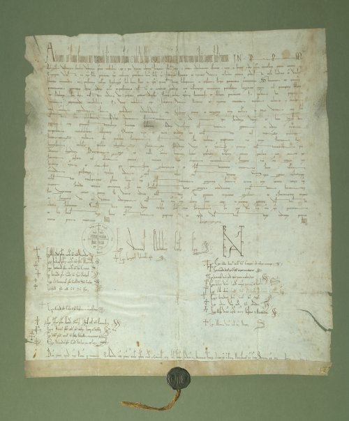 Abbildung der Urkunde