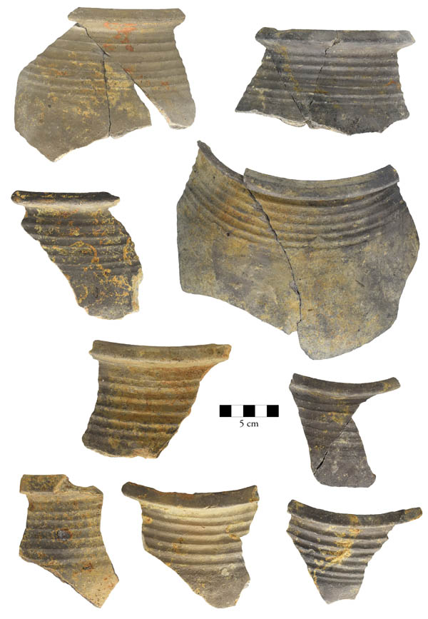 Download: Abb. 2: Wismar, Lkr. Nordwestmecklenburg. Scherben der grauen Irdenware, Variante b, mit sechs bis sieben Riefen im Schulterbereich. Foto: LAKD M-V, Landesarchäologie, Peter Kaute. Abb. 2: Wismar, Lkr. Nordwestmecklenburg. Scherben der grauen Irdenware, Variante b, mit sechs bis sieben Riefen im Schulterbereich.