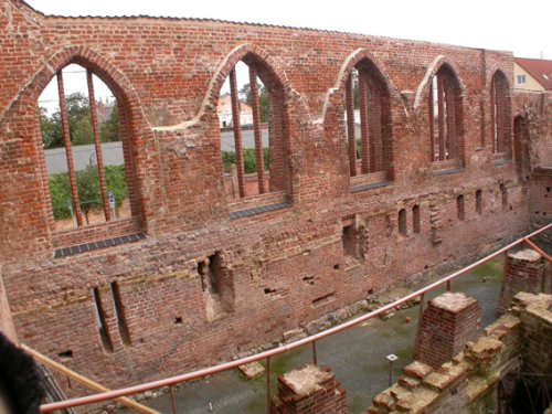 Abb.1: Stralsund, Johanniskloster Freigelegter Keller des Nordflügels des Franziskanerklosters 