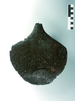 Abb. 2: Vollständig erhaltenes 23 cm breites, fast ebenso langes und 8 mm bis 20 mm dickes Paddel. 
