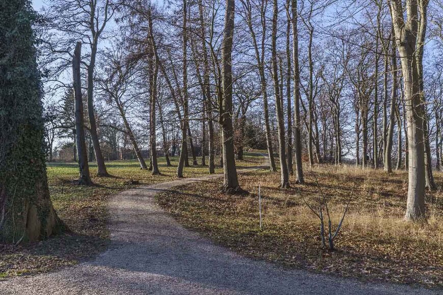 Abb. 4. Raben Steinfeld, Lkr. Ludwigslust-Parchim, Park, landschaftlich geschwungene Wegeführung, 2026. 
