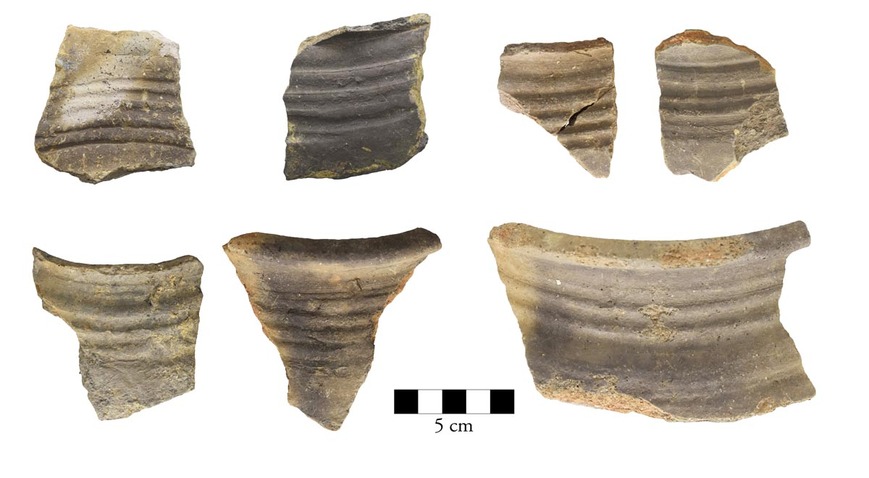 Download: Abb. 1: Wismar, Lkr. Nordwestmecklenburg. Scherben der grauen Irdenware, Variante b, mit drei bis fünf Reifen im Schulterbereich. Foto: LAKD M-V, Landesarchäologie, Peter Kaute. Abb. 1: Wismar, Lkr. Nordwestmecklenburg. Scherben der grauen Irdenware, Variante b, mit drei bis fünf Reifen im Schulterbereich.