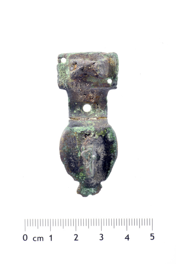 Download: Abb. 3. Starrvitz, Lkr. Vorpommern-Rügen. Rückenknopffibel, Rückseite. Foto: LAKD M-V/LA, S. Suhr. Abb. 3. Starrvitz, Lkr. Vorpommern-Rügen. Rückenknopffibel, Rückseite.
