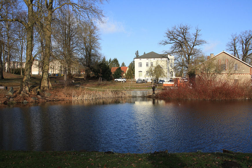 Abb. 18. Mühlen Eichsen, Lkr. Nordwestmecklenburg, Sicht aus dem Park in Richtung Herrenhaus, 2021. 