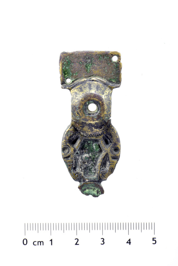 Download: Abb. 2. Starrvitz, Lkr. Vorpommern-Rügen. Rückenknopffibel, Vorderseite. Foto: LAKD M-V/LA, S. Suhr. Abb. 2. Starrvitz, Lkr. Vorpommern-Rügen. Rückenknopffibel, Vorderseite.