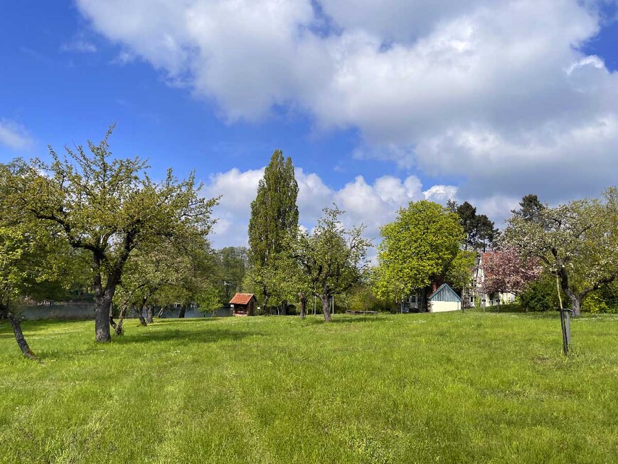 Download: Abb. 12. Die östliche Ansicht des Anwesens, im Hintergrund rechts das Wohnhaus mit Scheune, links das 2017 denkmalgerecht sanierte Bienenhaus. (LAKD M-V/LD, Dr. Ewa de Veer) Abb. 12. Die östliche Ansicht des Anwesens, im Hintergrund rechts das Wohnhaus mit Scheune, links das 2017 denkmalgerecht sanierte Bienenhaus.