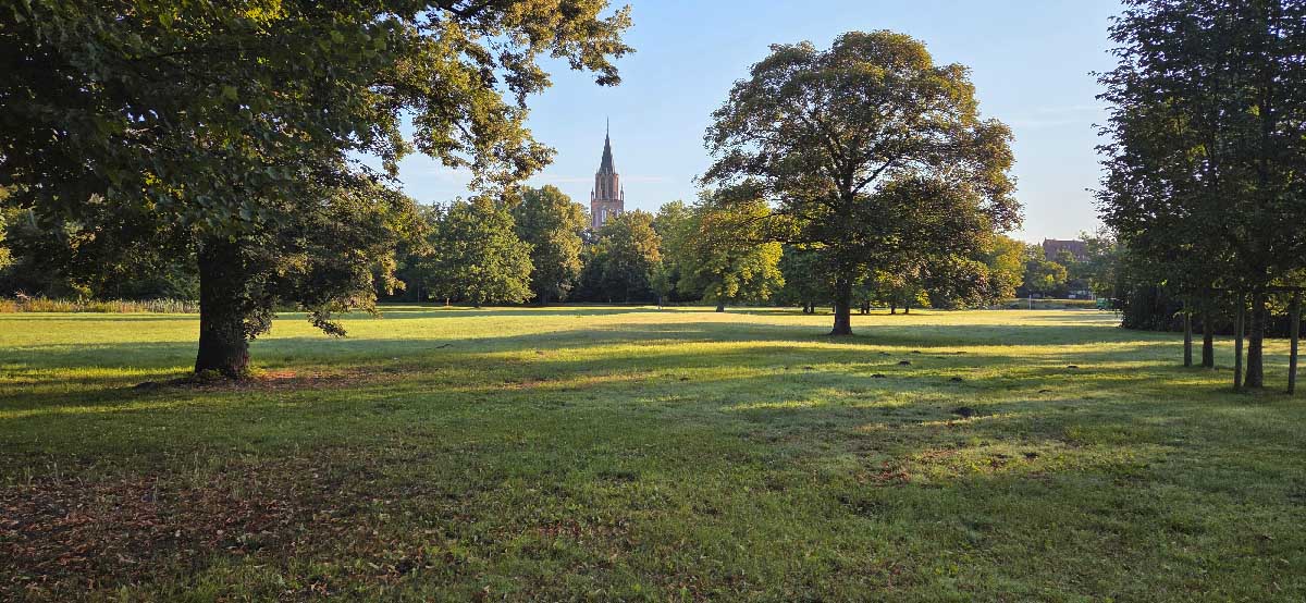 Abb. 2. Neubrandenburg, Kulturpark, Blick auf die St. Marienkirche, 2026. 