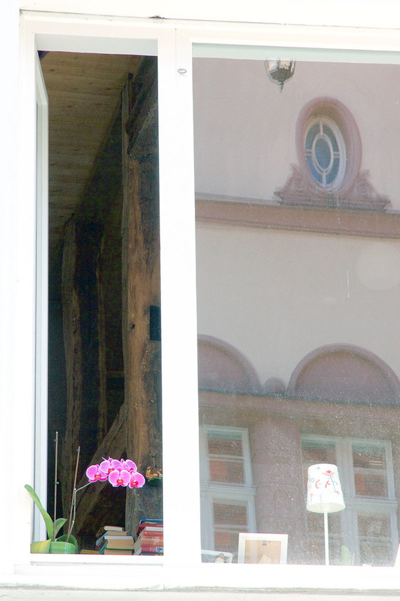 Download: Abb. 7. Landeshauptstadt Schwerin, Schmiedestraße 17, Wohn- und Geschäftshaus, Blick in das rechte Fenster des Obergeschosses mit deutlich erkennbarer Fachwerkwand, der ehemaligen Westwand von Nr. 15, 2016. (Tilo Schöfbeck, Schwerin) Abb. 7. Landeshauptstadt Schwerin, Schmiedestraße 17, Wohn- und Geschäftshaus, Blick in das rechte Fenster des Obergeschosses mit deutlich erkennbarer Fachwerkwand, der ehemaligen Westwand von Nr. 15, 2016.