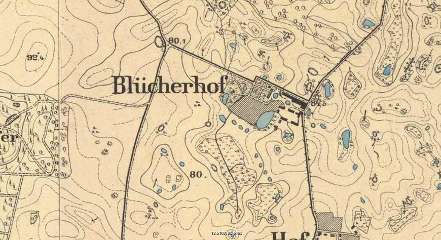 Abb. 4. Blücherhof, Lkr. Mecklenburgische Seenplatte, Messtischblatt, 1877, Detail (LAKD M-V/LD, Plansammlung). 