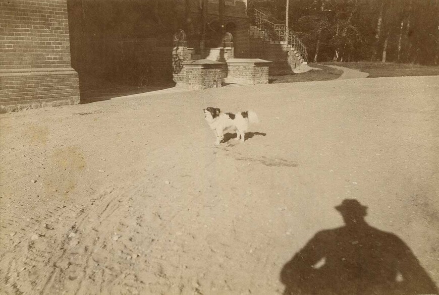 Abb. 5: Von Friedrich Franz III. vor dem Jagdschloss Gelbensande aufgenommenes Foto 
