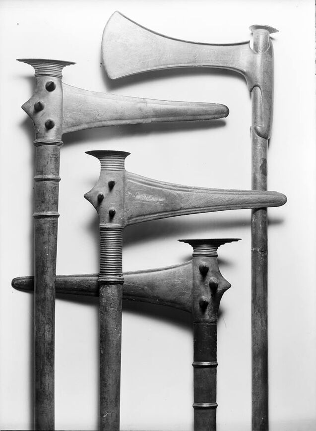 Abb. 3: Melz, Lkr. Mecklenburgische Seenplatte. Aufnahme der drei intakten Stabdolche und der geschäfteten Randleistenaxt kurz nach der Bergung. 