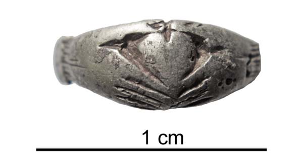 Abb. 10: Anklam, Lkr. Vorpommern-Greifswald. Grab 35, Detail des Fingerrings aus dem Siberkonvolut. 