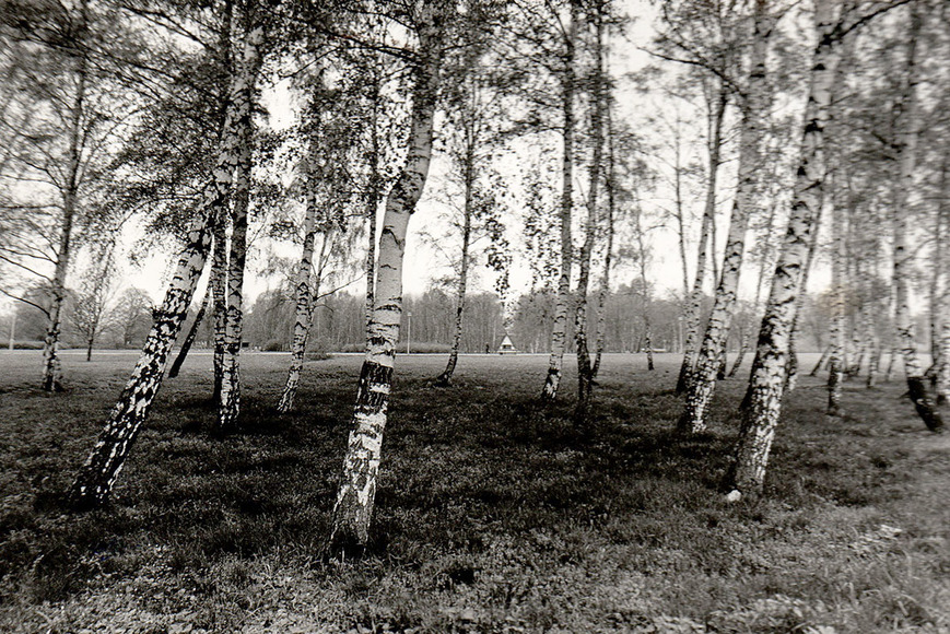 Abb. 4. Neubrandenburg, Kulturpark, Blick zur Gaststätte "Karelien" 