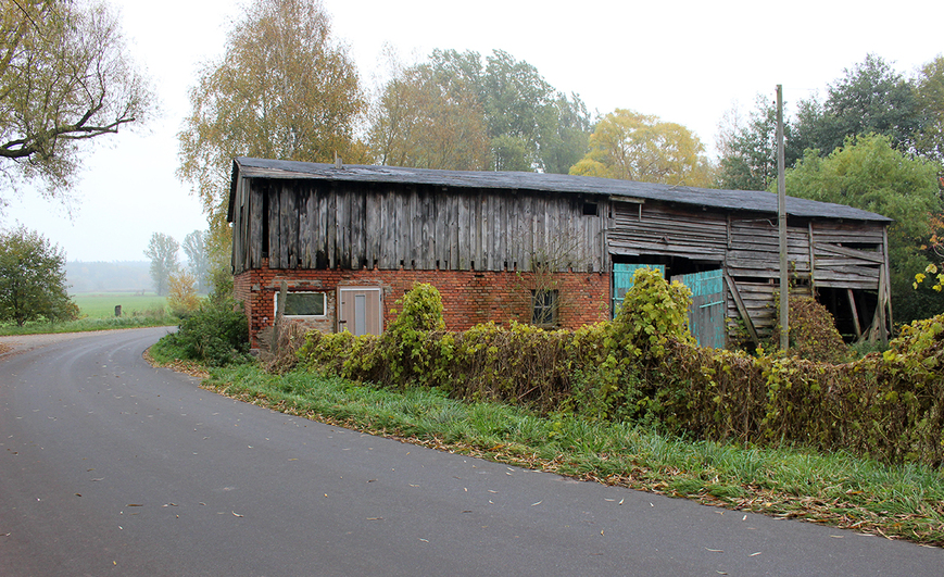 Abb. 7. Roidin, Lkr. Mecklenburgische Seenplatte, Scheune des Mühlengehöfts, 2015. 