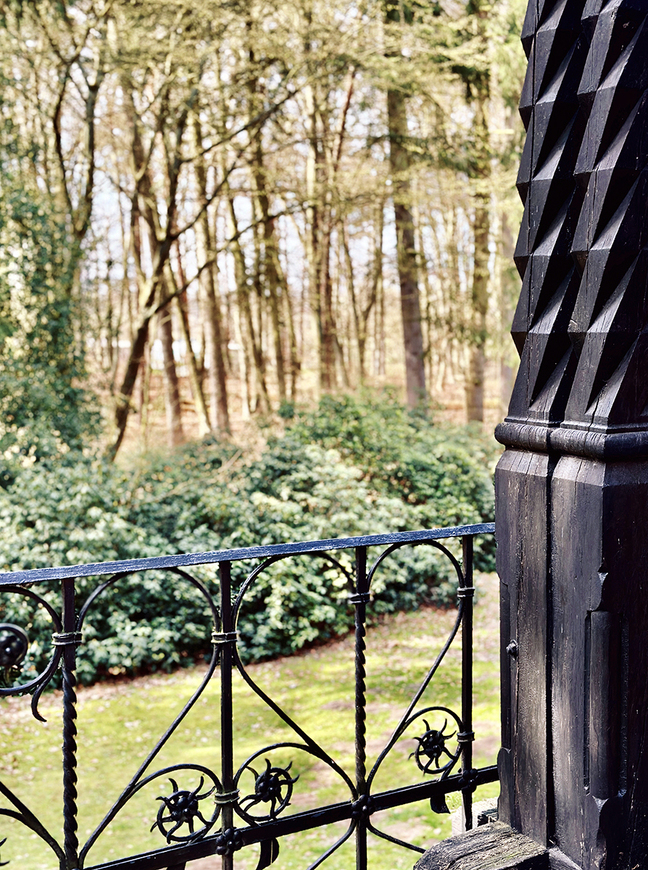 Download: Abb. 15. Gelbensande, Lkr. Rostock, Das nahe Umfeld des Jagdhauses weist bis heute eine gartenkünstlerische Konzeption auf. Hier schweift der Blick bis zu den Rhododendren, welche den Übergang zwischen Wald und Wiese markieren. (LAKD-MV, LD, J. Müller, 2023) Abb. 15. Gelbensande, Lkr. Rostock, Das nahe Umfeld des Jagdhauses weist bis heute eine gartenkünstlerische Konzeption auf. Hier schweift der Blick bis zu den Rhododendren, welche den Übergang zwischen Wald und Wiese markieren.