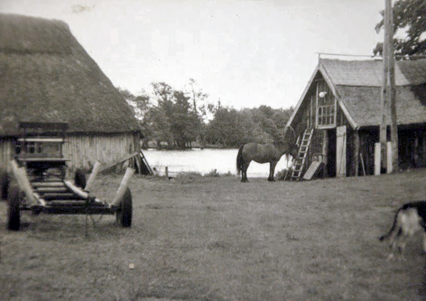 Download: Abb. 14. Speck, Lkr. Mecklenburgische Seenplatte, ehemaliger Fischereischuppen (rechts im Bild), von Norden, um 1960. (Privatbesitz Frau Fuhrmann) Abb. 14. Speck, Lkr. Mecklenburgische Seenplatte, ehemaliger Fischereischuppen (rechts im Bild), von Norden, um 1960.