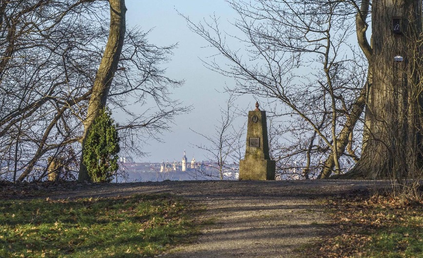 Abb. 5. Raben Steinfeld, Lkr. Ludwigslust-Parchim, Park, Sichtachse nach Schwerin, 2026. 