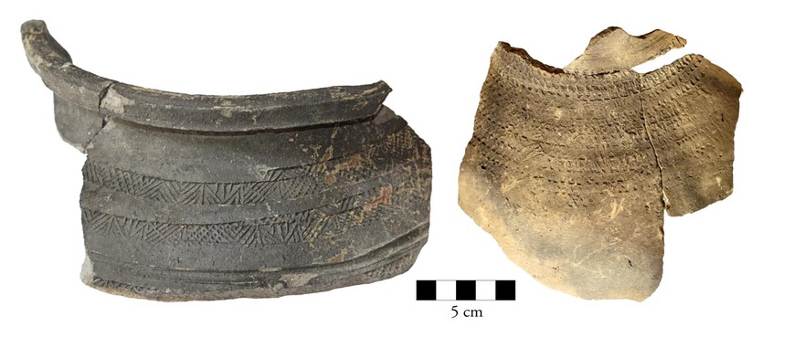 Download: Abb. 3: Wismar, Lkr. Nordwestmecklenburg. Scherben der grauen Irdenware, Variante b, mit Rollstempelverzierung. Foto: LAKD M-V, Landesarchäologie, Peter Kaute. Abb. 3: Wismar, Lkr. Nordwestmecklenburg. Scherben der grauen Irdenware, Variante b, mit Rollstempelverzierung.