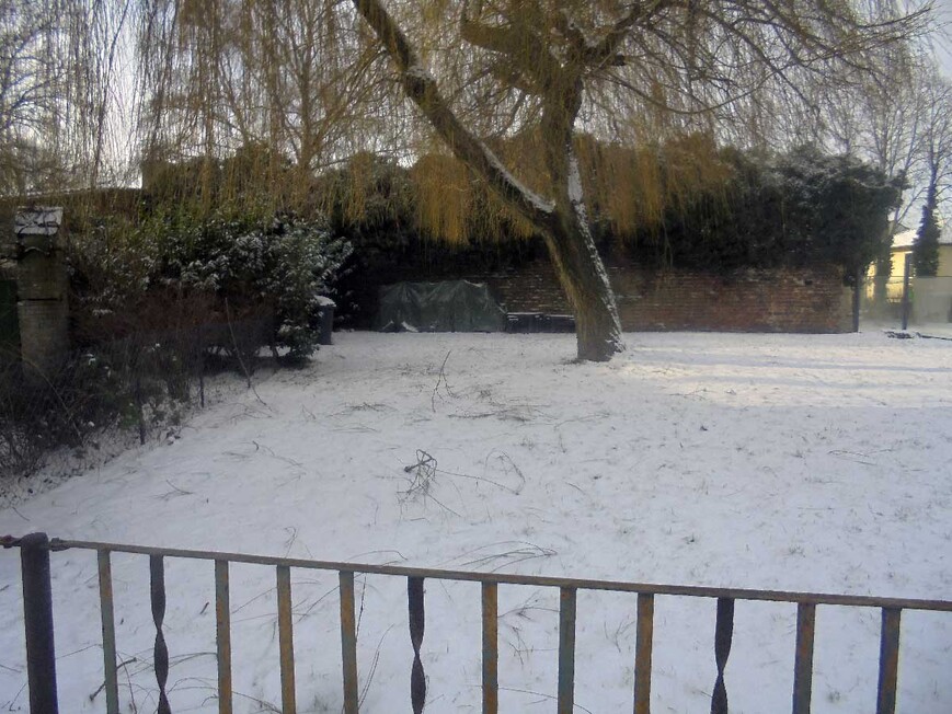 Abb. 10. Parchim (Lkr. Ludwigslust-Parchim), Stadtbefestigung, Stadtmauerrest im Bereich Mühlenstraße, 2024. 