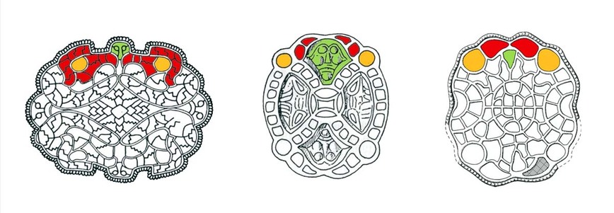 Abb. 5: Die Maske zwischen Tier-/Raubvogelmasken ist ein gängiges Motiv der Völkerwanderungszeit. Die gezeigten Parallelen auf Fibeln aus Reinstrup, Dänemark, Trier und Soest zeigen beispielhaft, wie naturalistisch oder wie stark stilisiert das gleiche Bild Verwendung finden konnte. Zumindest die Raubvögelköpfe lassen sich auf dem Kittendorfer Fund leicht wiedererkennen, ein menschliches Gesicht wird nur durch die ungewöhnliche Form der Zelle angedeutet. 