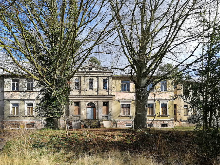 Abb. 6	Landeshauptstadt Schwerin, Buchen am Herrenhaus in Lankow, 2020. 