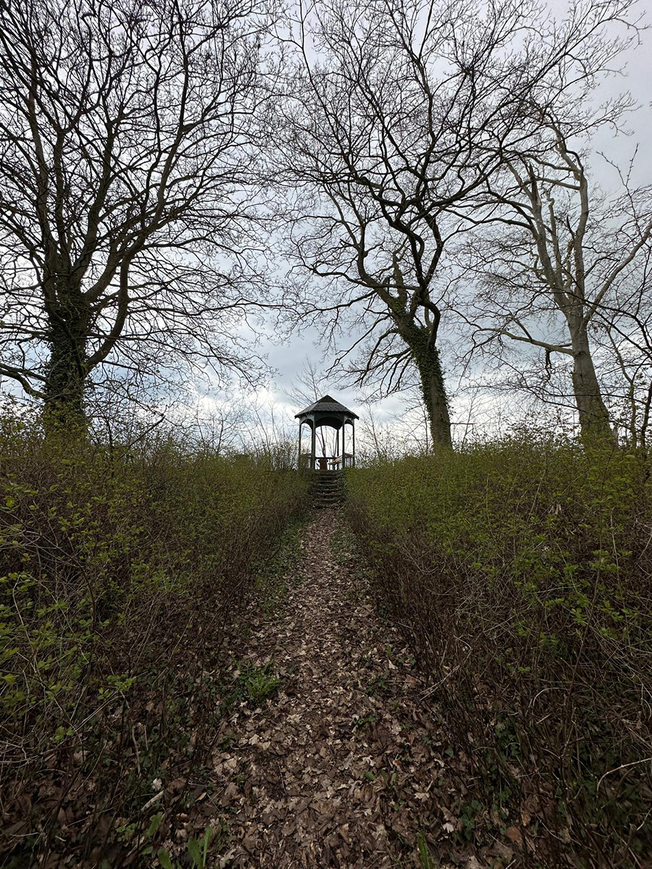 Abb. 7. Blücherhof, Lkr. Mecklenburgische Seenplatte, rekonstruierter Sonnentempel im Park, 2023 (Foto: LAKD M-V/LD, J. M. Müller). 