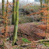 Landwehr "Isern Purt" bei Penzlin, Lkr. Mecklenburgische Seenplatte. Foto [Ausschnitt]: Fred Ruchhöft.