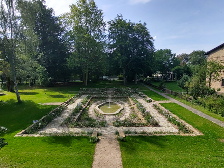 Ziethen, Lkrs. Vorpommern-Greifswald, Gutspark, 2023, Aufn. LAKD/LD Prof. Dr. Caroline Rolka.