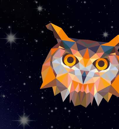 Logo zur Schweriner Nacht des Wissens