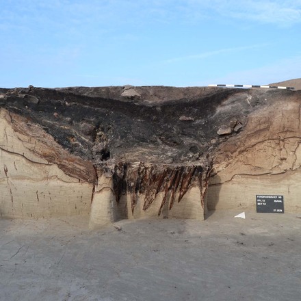 Auch dieser Boden hat es in sich: Brunnen aus der Zeit um 600 v. Chr. bei Ferdinandshof, Lkr. Vorpommern-Greifswald. Foto [Ausschnitt]: LAKD M-V, Landesarchäologie, Christoph Unglaub.