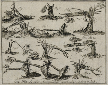 1764 verwüstete der "Jahrtausendtornado" Land und Gebäude bei Woldegk. Es war der stärkste bisher bekannte Tornado in Deutschland (Kategorie F5); Foto: LBMV Schwerin