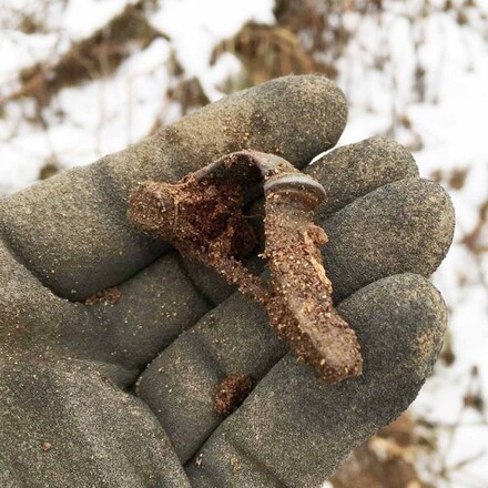 Fundfrisch: Eine neue Fibel aus Badow. Foto [Ausschnitt]: Olaf Wiegel.