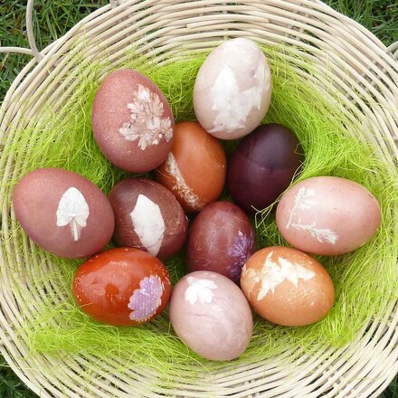 Mit Pflanzen und Pflanzenteilen gefärbte Eier. Foto [Ausschnitt]: LAKD M-V, Landesarchäologie.