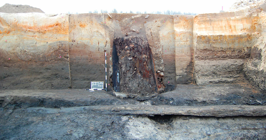 Abb. 1: Beckentin, Lkr. Ludwigslust-Parchim. Der 842 v. Chr. angelegte Brunnen im Profil. Die Holzröhre ist aufgeschnitten, um ihren Inhalt untersuchen zu können. Hier geht es jedoch um den Baumstamm im Vordergrund, der vor etwa 125.000 Jahren umstürzte und in einer Torfschicht bis in die Gegenwart überdauerte. Foto: LAKD MV/ LA, D. Forler Foto: LAKD MV/ LA, D. Forler Abb. 1: Beckentin, Lkr. Ludwigslust-Parchim. Der 842 v. Chr. angelegte Brunnen im Profil. Die Holzröhre ist aufgeschnitten, um ihren Inhalt untersuchen zu können. Hier geht es jedoch um den Baumstamm im Vordergrund, der vor etwa 125.000 Jahren umstürzte und in einer Torfschicht bis in die Gegenwart überdauerte. Foto: LAKD MV/ LA, D. Forler