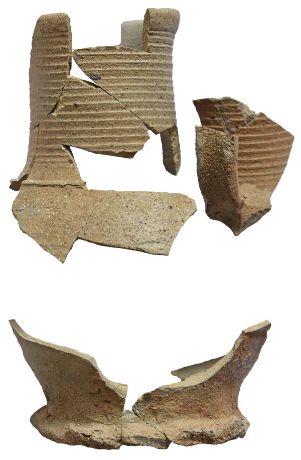Abb. 2: Neuhof, Lkr. Vorpommern-Rügen, Fpl. 2. Münzschatzgefäß des Schatzes 1 (Höhe links oben 11 cm). Foto: LAKD M-V, Landesarchäologie, Heiko Schäfer. Abb. 2: Neuhof, Lkr. Vorpommern-Rügen, Fpl. 2. Münzschatzgefäß des Schatzes 1 (Höhe links oben 11 cm).