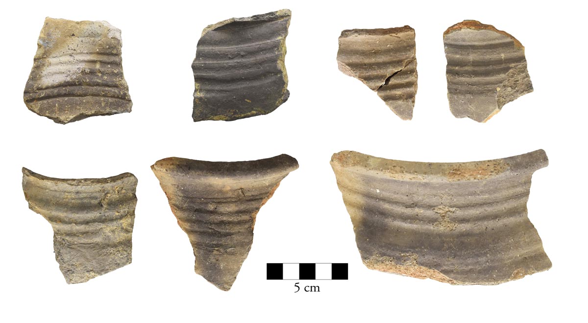 Abb. 1: Wismar, Lkr. Nordwestmecklenburg. Scherben der grauen Irdenware, Variante b, mit drei bis fünf Reifen im Schulterbereich. Foto: LAKD M-V, Landesarchäologie, Peter Kaute. Abb. 1: Wismar, Lkr. Nordwestmecklenburg. Scherben der grauen Irdenware, Variante b, mit drei bis fünf Reifen im Schulterbereich.
