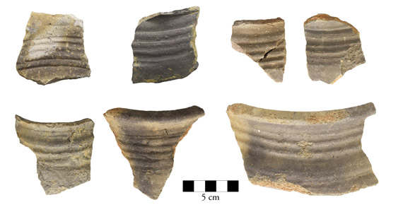 Abb. 1: Wismar, Lkr. Nordwestmecklenburg. Scherben der grauen Irdenware, Variante b, mit drei bis fünf Reifen im Schulterbereich.