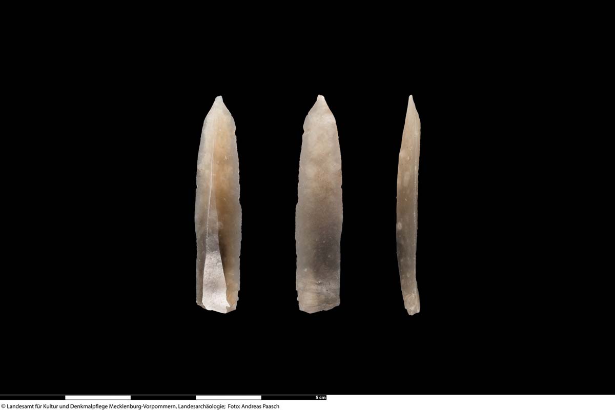 Abb. 2: Carwitz, Lkr. Mecklenburgische Seenplatte. Die angeblich an dem Schädel gefundene „Pfeilspitze“ ist tatsächlich eine Mikroklinge.