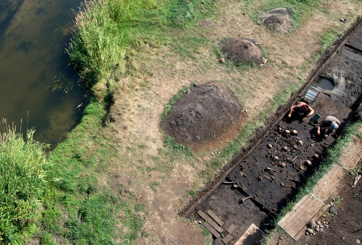 Abb. 2020_03: Dicht an dicht lagen die Menschenknochen im torfigen Sediment. Ihre Freilegung erforderte besondere Sorgfalt. Foto: S. Sauer für das Tollensetal-Projekt. Abb. 2020_03: Dicht an dicht lagen die Menschenknochen im torfigen Sediment. Ihre Freilegung erforderte besondere Sorgfalt.