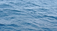 Wasser schützt Bodendenkmale jahrtausendelang – wenn sie ungestört bleiben.