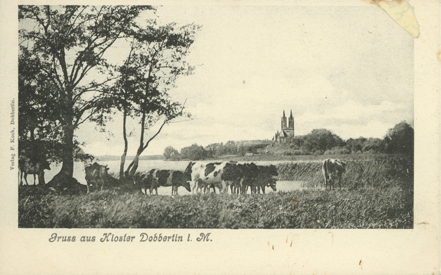 Abb. 2: Panoramablick auf das Kloster, 1906 (LHAS, 13.2-1/1, Kloster Dobbertin Nr. 11) Abb. 2: Panoramablick auf das Kloster, 1906 (LHAS, 13.2-1/1, Kloster Dobbertin Nr. 11)
