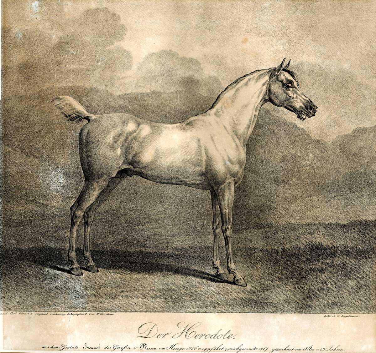 Abb. 2: Der Herodote. Lithographie. Lithographiert von Wilhelm Heuer nach der Originalzeichnung von Carl Vernet (1815/16). Gedruckt in der lithographischen Anstalt von Godefroy Engelmann in Paris (nach 1816). Fritz-Reuter-Literaturmuseum Stavenhagen, Inv.-Nr. V 2832 z. Abb. 2: Der Herodote. Lithographie. Lithographiert von Wilhelm Heuer nach der Originalzeichnung von Carl Vernet (1815/16). Gedruckt in der lithographischen Anstalt von Godefroy Engelmann in Paris (nach 1816).