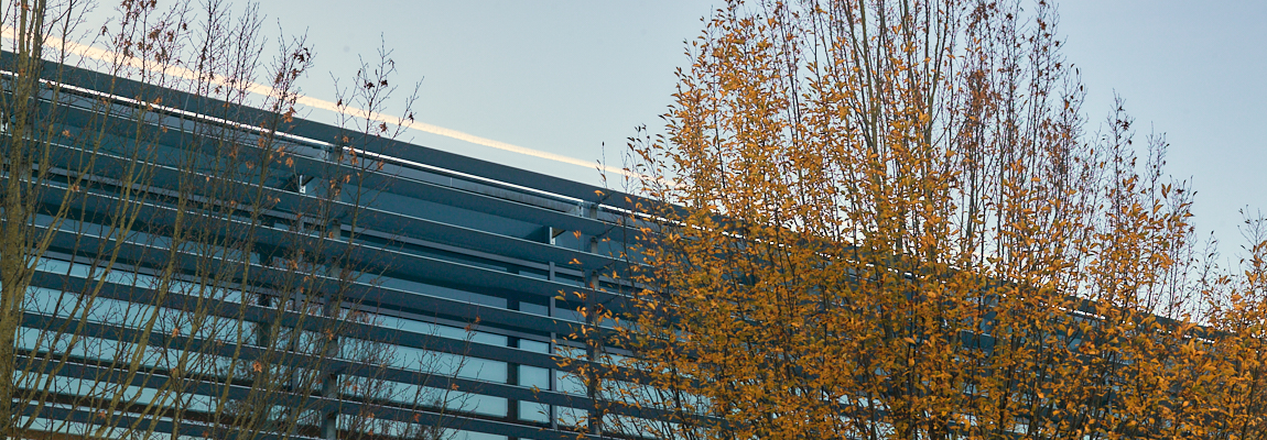 Westfassade der Landesbibliothek im Herbst