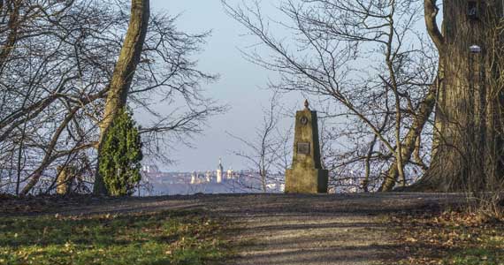 Abb. 5. Raben Steinfeld, Lkr. Ludwigslust-Parchim, Park, Sichtachse nach Schwerin, 2026.