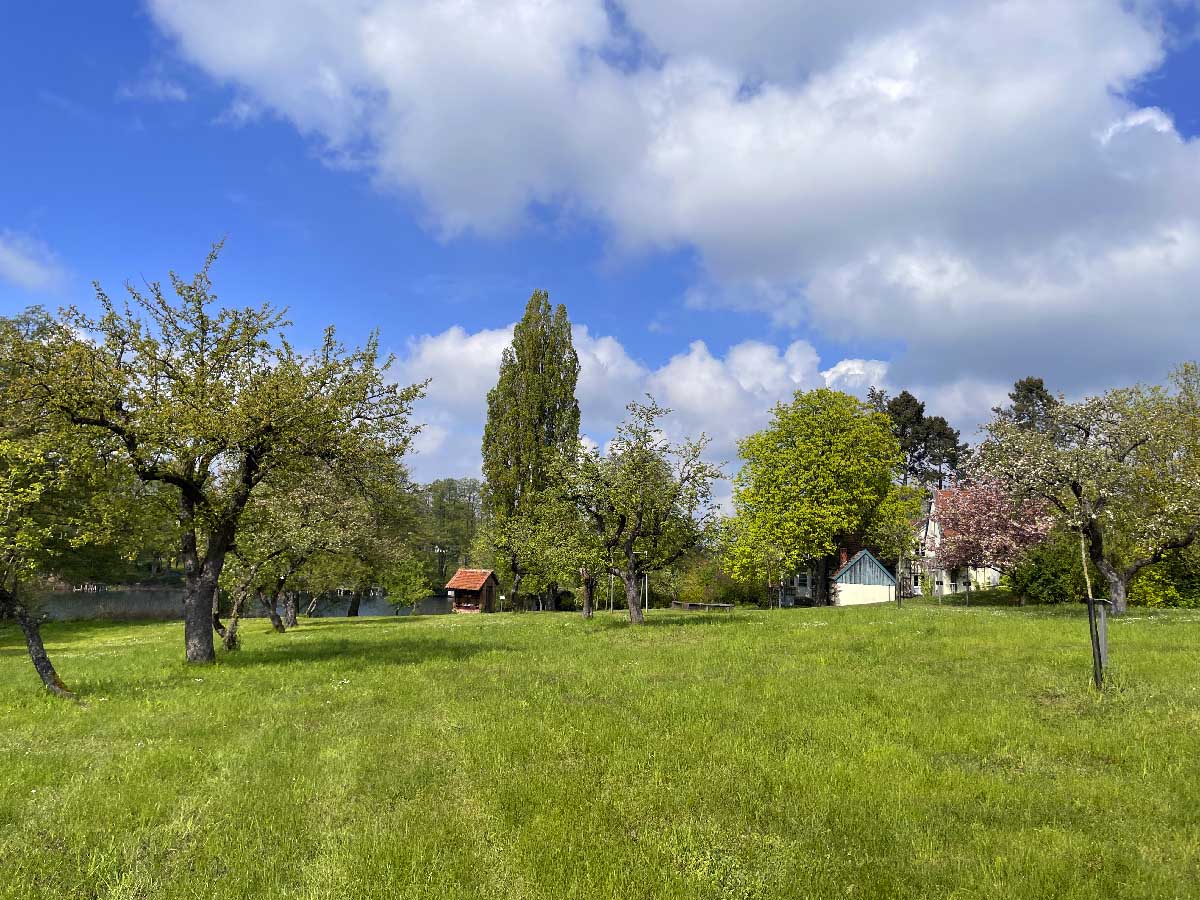 Abb. 12. Die östliche Ansicht des Anwesens, im Hintergrund rechts das Wohnhaus mit Scheune, links das 2017 denkmalgerecht sanierte Bienenhaus.