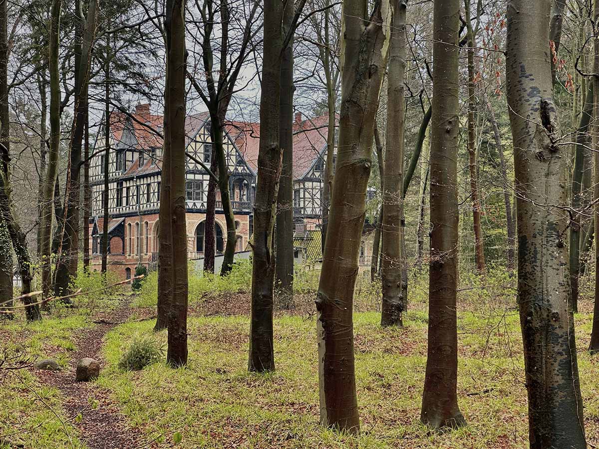 Abb. 18. Gelbensande, Lkr. Rostock, Jagdschloss Gelbensande (1885/86), mit seinem visuellen Wirkungsraum: Das Haus wurde bewusst auf eine Lichtung gestellt, um Wald und Tiere als Kulisse des Baus miteinzubeziehen. (LAKD-MV, LD, J. Müller, 2023) Abb. 18. Gelbensande, Lkr. Rostock, Jagdschloss Gelbensande (1885/86), mit seinem visuellen Wirkungsraum: Das Haus wurde bewusst auf eine Lichtung gestellt, um Wald und Tiere als Kulisse des Baus miteinzubeziehen.