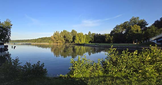 Abb. 1. Neubrandenburg, Kulturpark, Partie am Tollensesee, 2026.